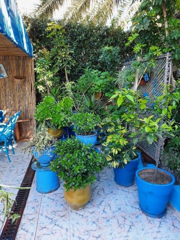 Maison D Hotes Marine Ksar Sghir Екстериор снимка