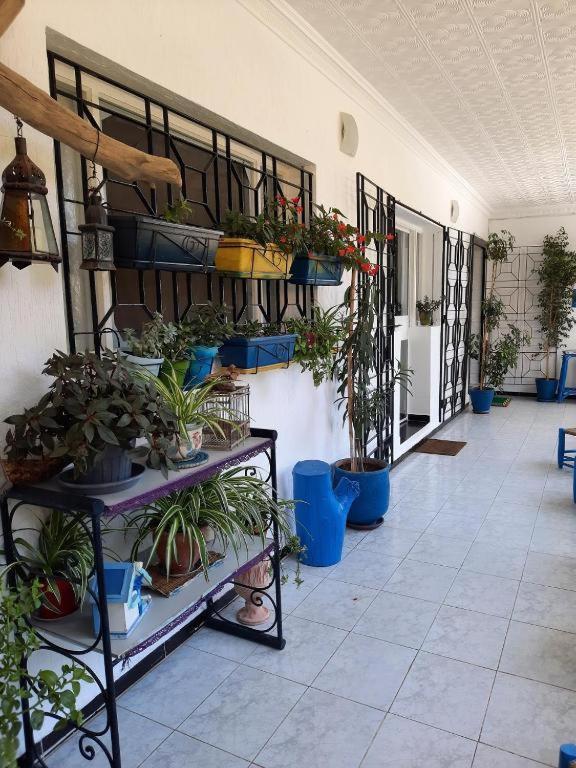 Maison D Hotes Marine Ksar Sghir Екстериор снимка