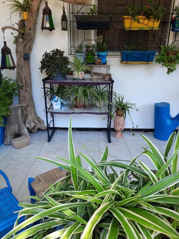 Maison D Hotes Marine Ksar Sghir Екстериор снимка