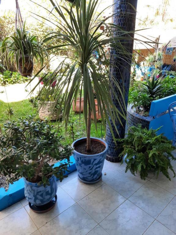 Maison D Hotes Marine Ksar Sghir Екстериор снимка